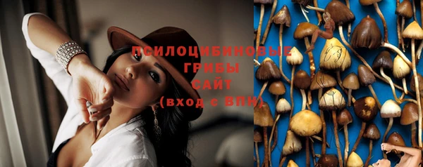 дурь Надым