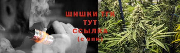 дурь Надым