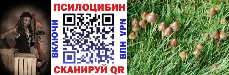 закладки  Кинешма  ссылка на мегу ссылки  Галлюциногенные грибы Magic Shrooms 