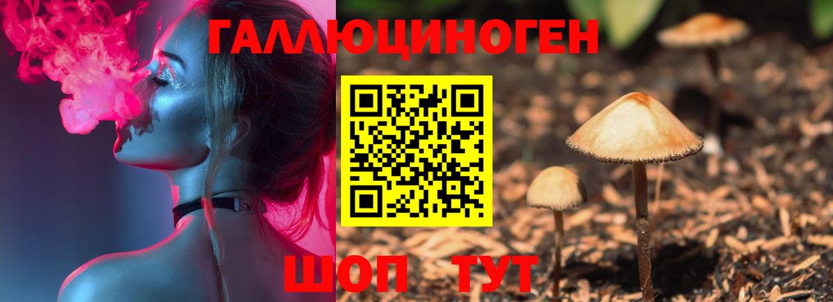 Галлюциногенные грибы прущие грибы  Вход с VPN  Кинешма 